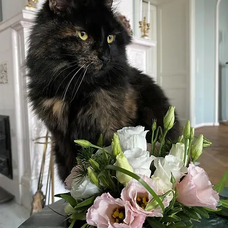 Manowce Palace Pensjonat