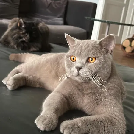 Pensjonat Manowce Palace 4*