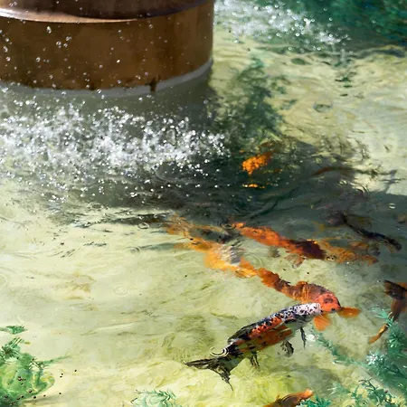 Manowce Palace Trzebieradz