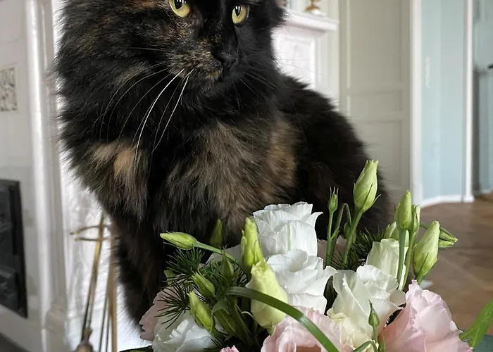 Manowce Palace Gæstehus