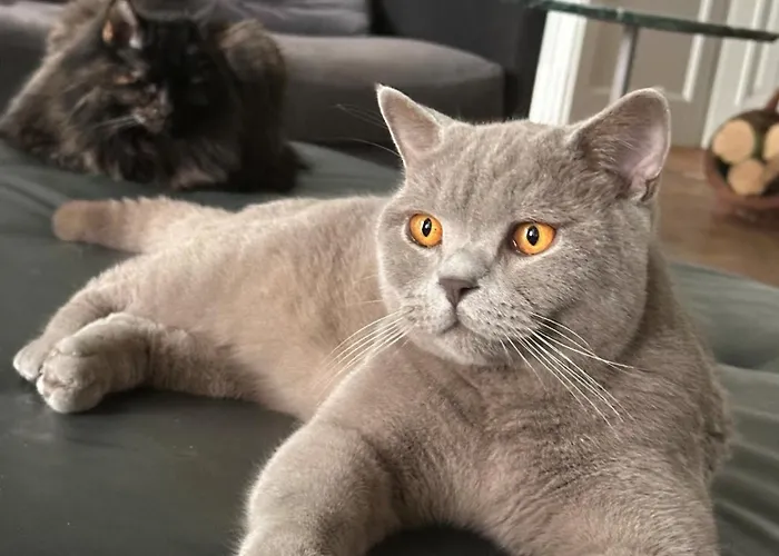 Pensión Manowce Palace 4*